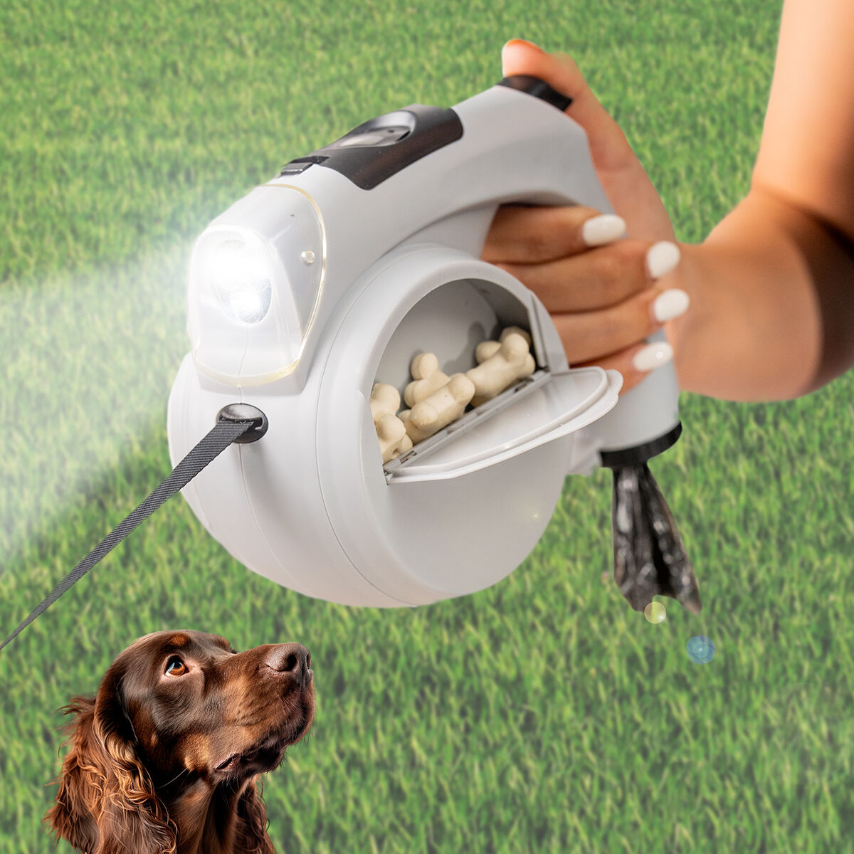 Pack Viaja con tu Perro
