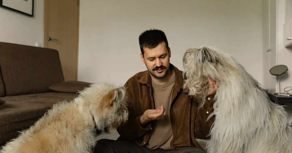 Cada cuanto es recomendable banear a un perro: Guía completa