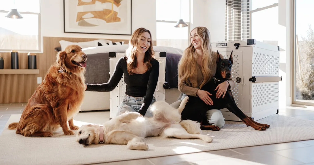 Cada Cuanto Se Puede Bañar un Perro: Guía Completa