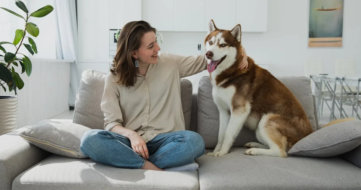 Como cortar unas perro en casa: guía completa y fácil