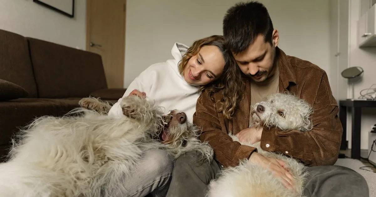 Como evitar que un perro ladre: Consejos Practicos y Efectivos
