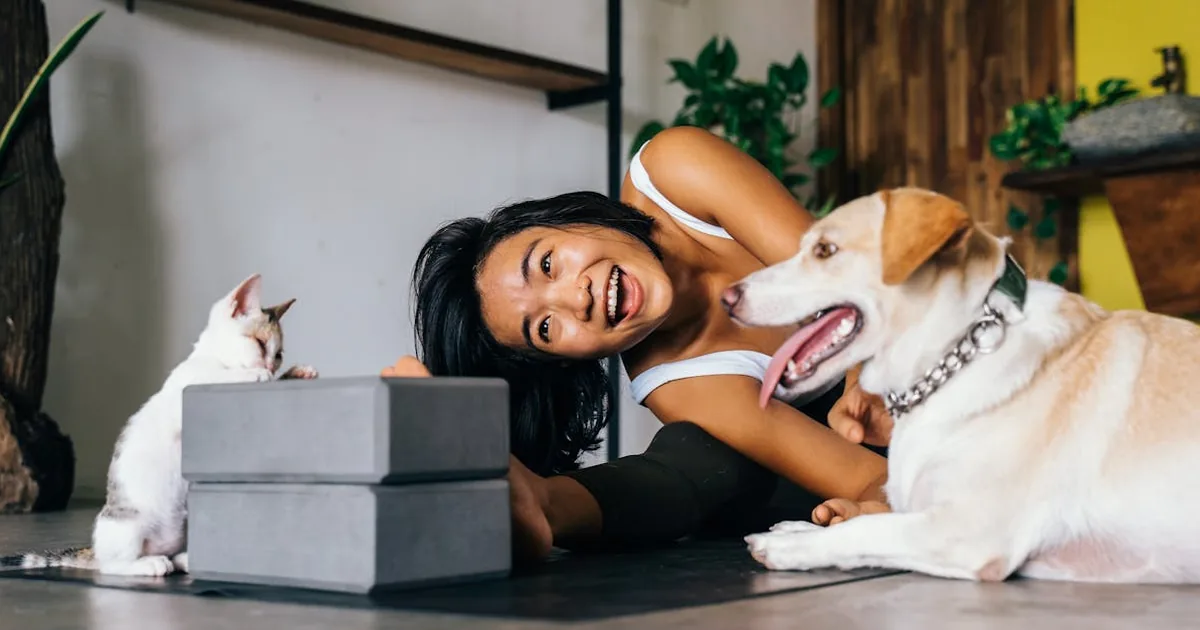 Consejos para Cortar Unas Perro Casa: Aprenda a Ser Su Propio Peluquero