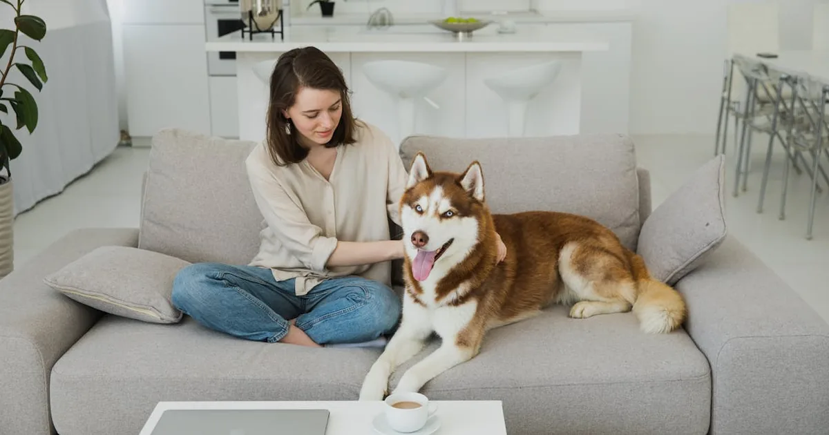Emprender en el Mundo de las Mascotas: Oportunidades Digitales