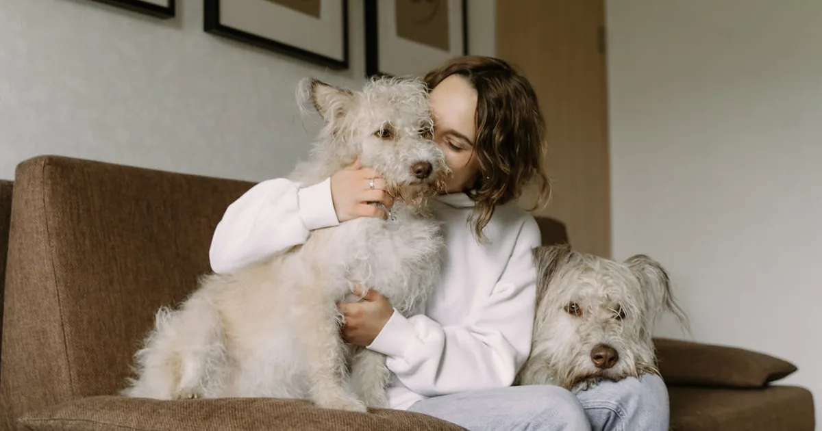 Lo que nadie te dice sobre Acana para perros: ingredientes y análisis