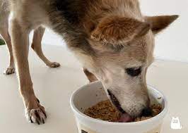 alimentos para perros mayores