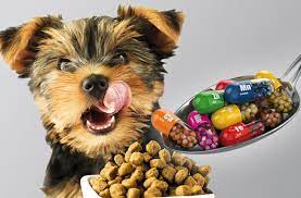 nutrición para perros